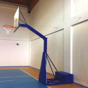 Imagen para la categoría VOLEI SI BASCHET